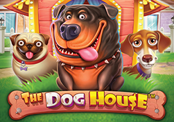 The Dog House ranura